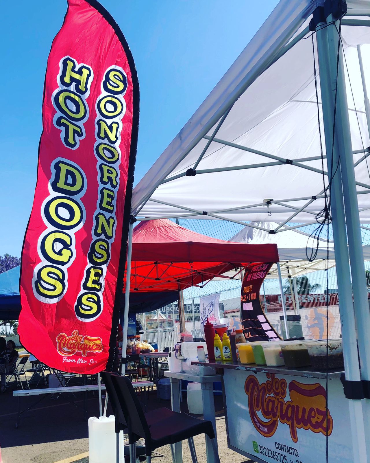 Bandera Publicitaria Personalizada.